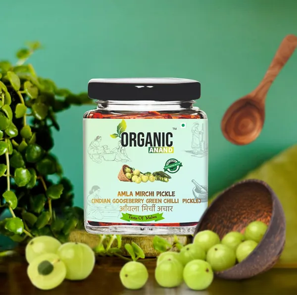 Organic_Pure_Natural_Amla_Mirch_Pickle_Indian_Gooseberry_Green_Chilly_Fresh_Amla_Green_Chilli_Homemade_Pickle_Authentic_No_Preservative_Matka_Jar