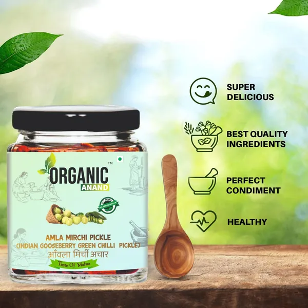 Organic_Pure_Natural_Amla_Mirch_Pickle_Indian_Gooseberry_Green_Chilly_Fresh_Amla_Green_Chilli_Homemade_Pickle_Authentic_No_Preservative_Matka_Jar