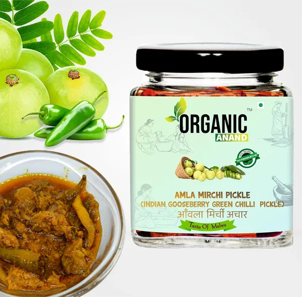 Organic_Pure_Natural_Amla_Mirch_Pickle_Indian_Gooseberry_Green_Chilly_Fresh_Amla_Green_Chilli_Homemade_Pickle_Authentic_No_Preservative_Matka_Jar