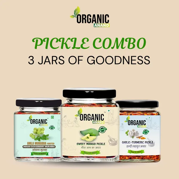 Wellness_Trio_(Mango_+_Garlic_Turmeric_+_Murabba)