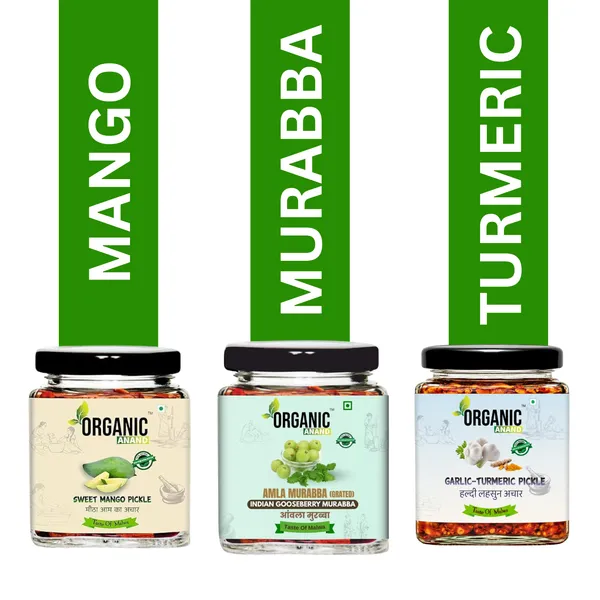 Wellness_Trio_(Mango_+_Garlic_Turmeric_+_Murabba)