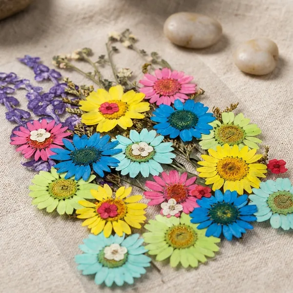 32_In_1_Pressed_Flowers_For_Resin_Art