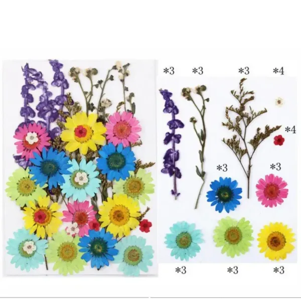 32_In_1_Pressed_Flowers_For_Resin_Art