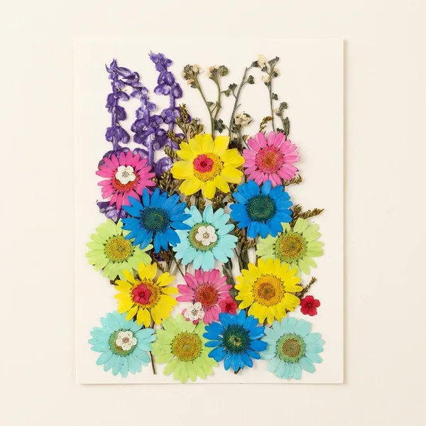 32_In_1_Pressed_Flowers_For_Resin_Art