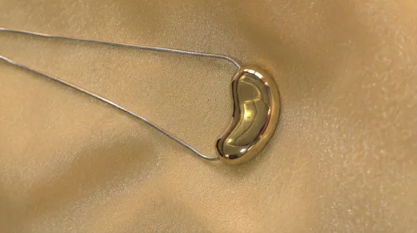Minimal_Gold_Bean_Pendant_Necklace