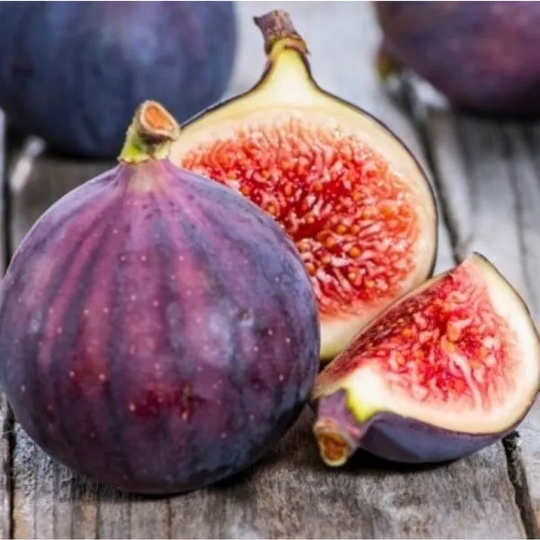 Organic_Grafted_Fig_Plant_All_Seasons_Anjeer_Anjir_Fruit_Plant_High_Yield_Easy_Grow_Home_Garden_Outdoor_Indoor_Fresh_Healthy_Sapling