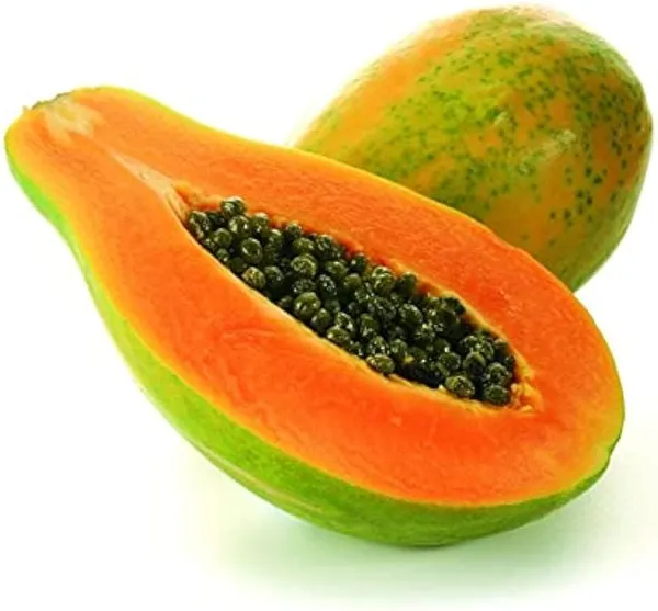 Hybrid_Papaya_Seeds_Pack_of_200_|_High_Yield,_Early_Fruiting,_Sweet_&_Juicy_Variety_for_Home_and_Commercial_Farming,_Papaya_Seeds_for_Planting