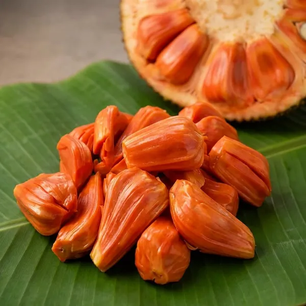 Organic_All-Season_Hybrid_Red_Jackfruit_Grafted_Plant_German_Variety_12-Month_Fruit-Bearing_Tropical_Tree_Perfect_For_Home_Gardeners