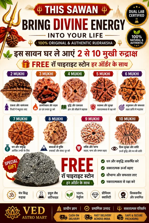Original_LAB_Certified_2_to_10_Mukhi_Rudraksha_-_2_से_10_मुखी_रुद्राक्ष
