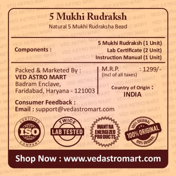 5_Mukhi_Rudraksha_(_Dual_Lab_Certified)