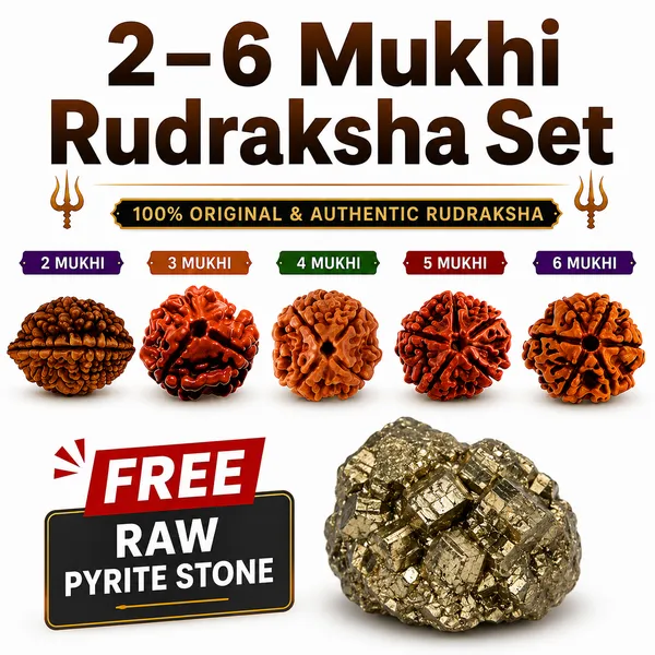 Complete_2–6_Mukhi_Rudraksha_Collection_+_FREE_Raw_Pyrite_Stone