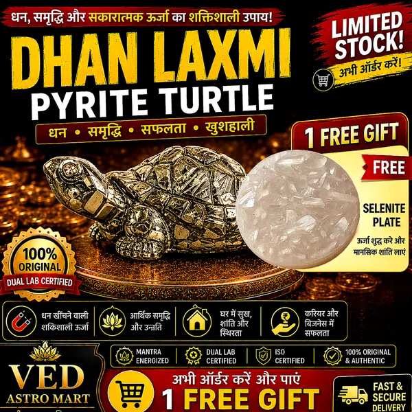 Dhan_Laxmi_Pyrite_Turtle_with_Free_Selenite_Plate_–_Wealth_&_Prosperity_Energy_Décor