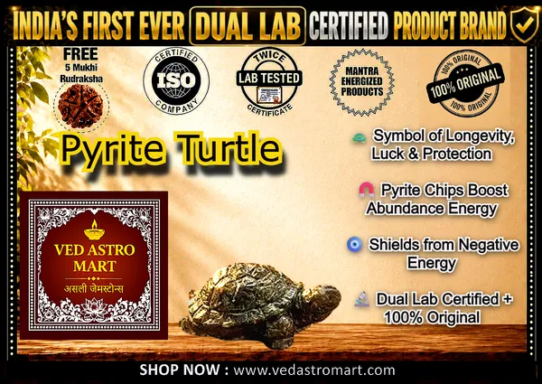 Fortune_Energy_Turtle_(_Dual_Lab_Certified_+_Free_5_Mukhi_Rudraksha_)