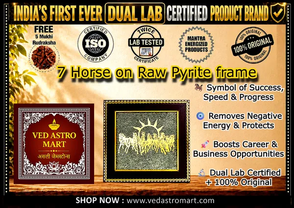 7_Horses_on_Raw_Pyrite_Frame_(_Dual_Lab_certified_+_Free_Mukhi_Rudraksha)
