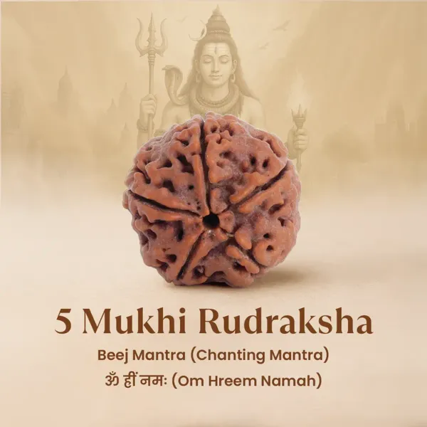 Lakshmi_Kuber_Maha_Samriddhi_Rashi_Combo_-_14_Products-_Lab_Certified_-_Free_5_Mukhi_Rudraksha