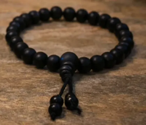 Karungali_Bracelet_(_Dual_Lab_Certified_+_Free_5_Mukhi_Rudraksha_)