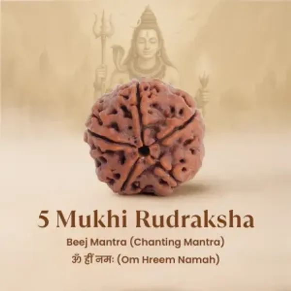 Dhan_Vriddhi_5_Products_Combo_–_Laxmi_Yantra,_Kuber_Yantra,_Pyrite_Turtle,_Raw_Pyrite_Stone_&_5_Mukhi_Rudraksha