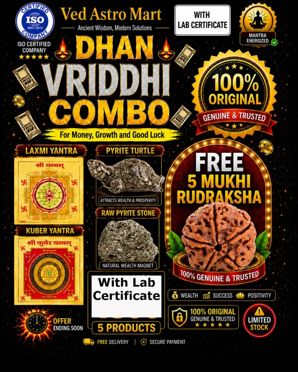 Dhan_Vriddhi_5_Products_Combo_–_Laxmi_Yantra,_Kuber_Yantra,_Pyrite_Turtle,_Raw_Pyrite_Stone_&_5_Mukhi_Rudraksha