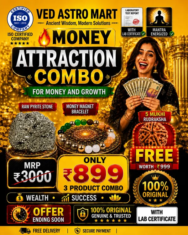 Money_Attraction_Original_Lab_Certified_Combo_(Raw_Pyrite_Stone_+_Money_Magnet_Bracelet_+_5_Mukhi_Rudraksha)_(FREE_5_Mukhi_Rudraksha_+_FREE_Raw_Pyrite_Stone)