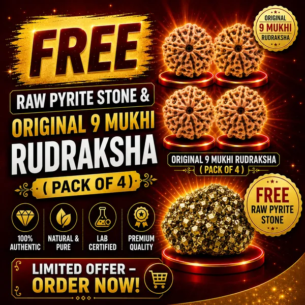 Rudraksha_Pack_of_4_|_Original_Lab_Certified_|_FREE_Raw_Pyrite_Stone_