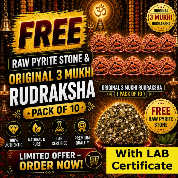 Rudraksha_Pack_of_10_|_Original_Lab_Certified_|_FREE_Raw_Pyrite_Stone_