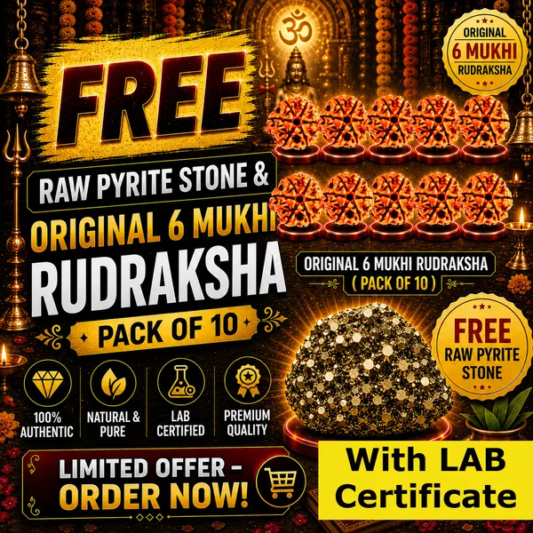 Rudraksha_Pack_of_10_|_Original_Lab_Certified_|_FREE_Raw_Pyrite_Stone_