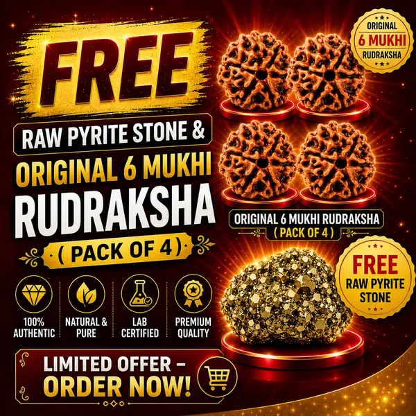 Rudraksha_Pack_of_4_|_Original_Lab_Certified_|_FREE_Raw_Pyrite_Stone_