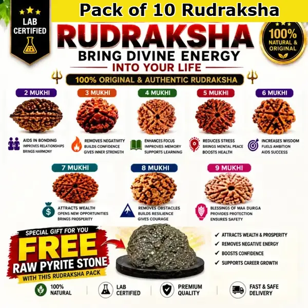 100%_Original_with_LAB_Certificate_-_Rudraksha_Pack_of_10_|_Original_Lab_Certified_|_FREE_Raw_Pyrite_Stone_