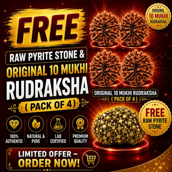 Rudraksha_Pack_of_4_|_Original_Lab_Certified_|_FREE_Raw_Pyrite_Stone_