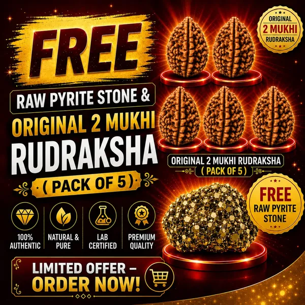 Rudraksha_Pack_of_5_|_Original_Lab_Certified_|_FREE_Raw_Pyrite_Stone_