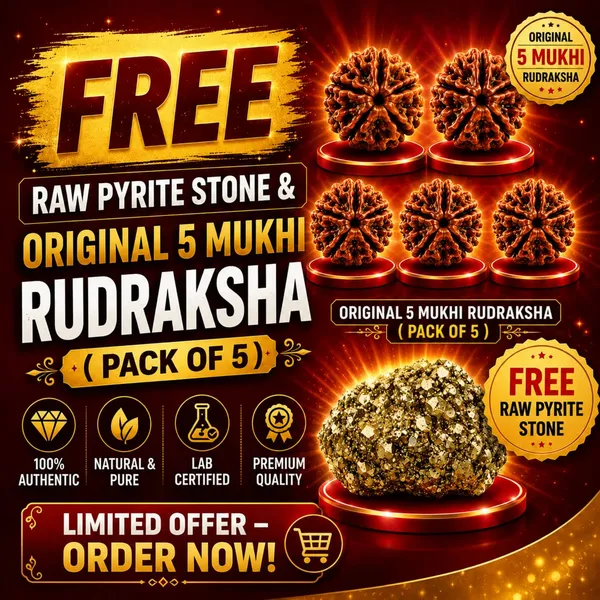 Rudraksha_Pack_of_5_|_Original_Lab_Certified_|_FREE_Raw_Pyrite_Stone_