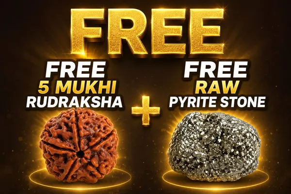 Ved_Astro_Mart_Original_Lab_Certified_All_in_One_Growth_&_Money_Magnet_Combo_10_Powerful_Pieces_+_(FREE_5_Mukhi_Rudraksha_+_FREE_Raw_Pyrite_Stone)