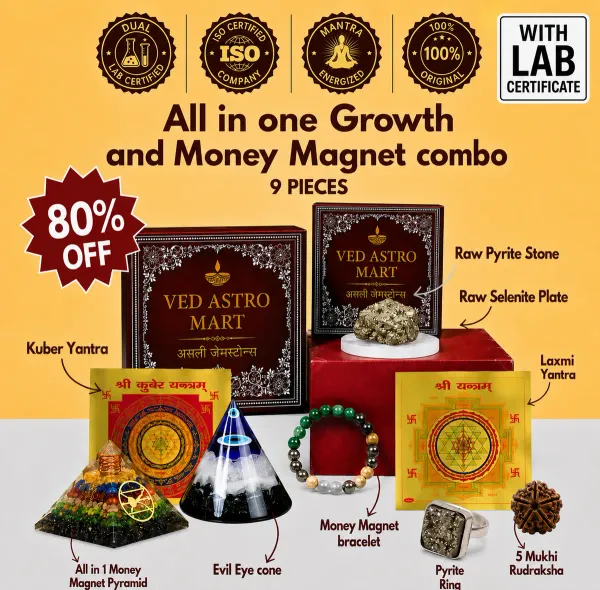 All-in-One_Growth_&_Money_Magnet_Combo_–_9_Powerful_Vastu_&_Crystal_Products
