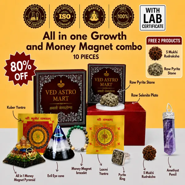 Ved_Astro_Mart_Original_Lab_Certified_All_in_One_Growth_&_Money_Magnet_Combo_10_Powerful_Pieces_+_(FREE_5_Mukhi_Rudraksha_+_FREE_Raw_Pyrite_Stone)