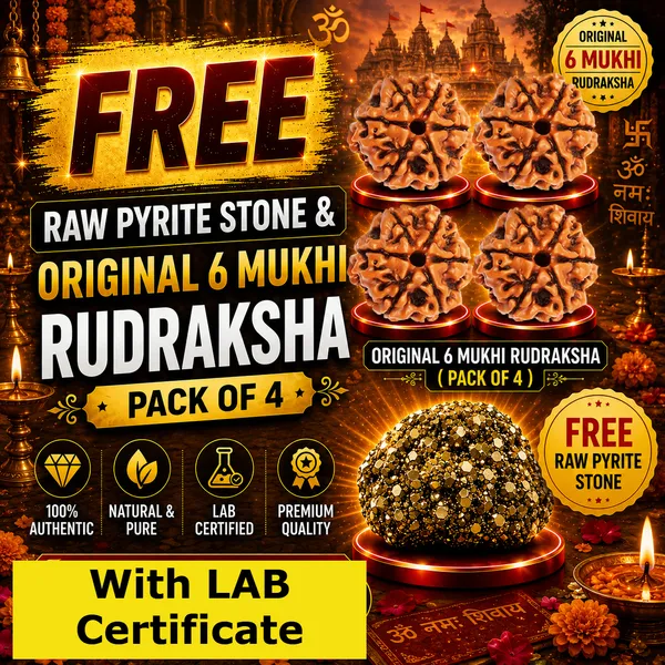 Original_with_LAB_Certificate_-_Rudraksha_Pack_of_4_+_FREE_Raw_Pyrite_Stone