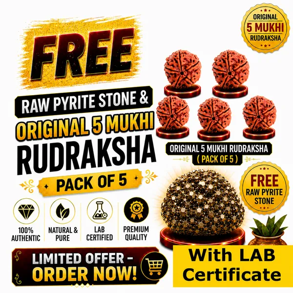 Original_with_LAB_Certificate_-_Rudraksha_Pack_of_5_+_FREE_Raw_Pyrite_Stone