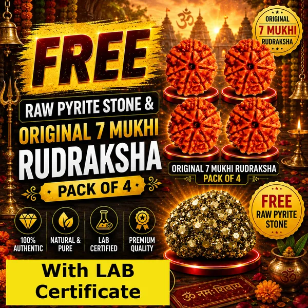 Original_with_LAB_Certificate_-_Rudraksha_Pack_of_4_+_FREE_Raw_Pyrite_Stone