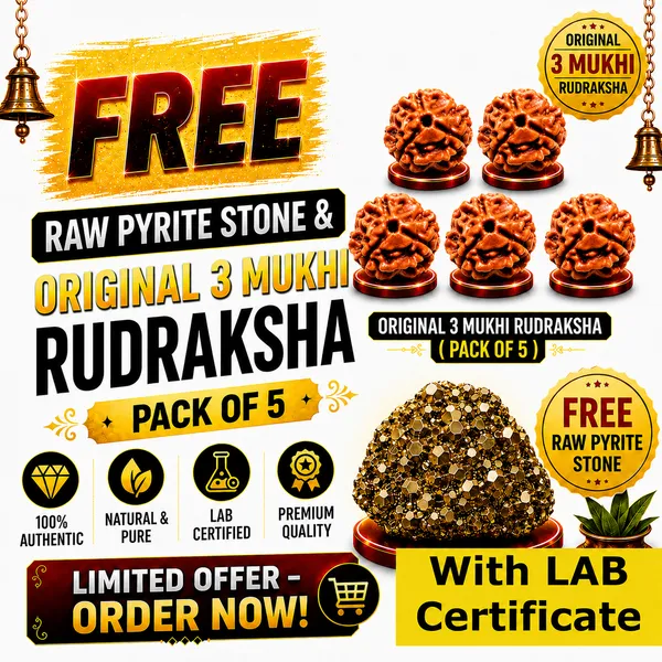 Original_with_LAB_Certificate_-_Rudraksha_Pack_of_5_+_FREE_Raw_Pyrite_Stone