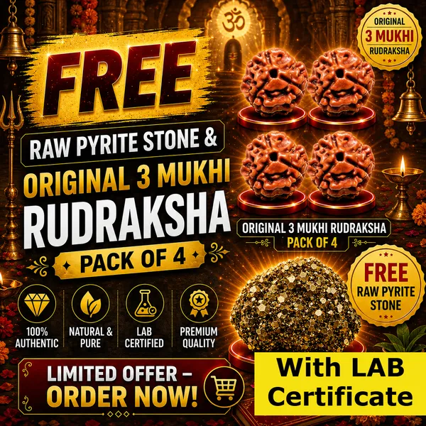 Original_with_LAB_Certificate_-_Rudraksha_Pack_of_4_+_FREE_Raw_Pyrite_Stone