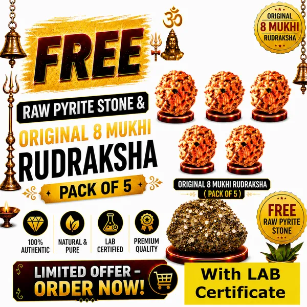 Original_with_LAB_Certificate_-_Rudraksha_Pack_of_5_+_FREE_Raw_Pyrite_Stone
