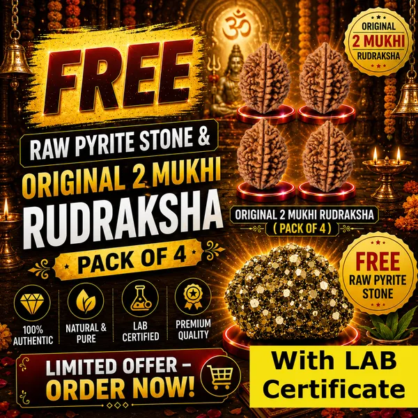 Original_with_LAB_Certificate_-_Rudraksha_Pack_of_4_+_FREE_Raw_Pyrite_Stone