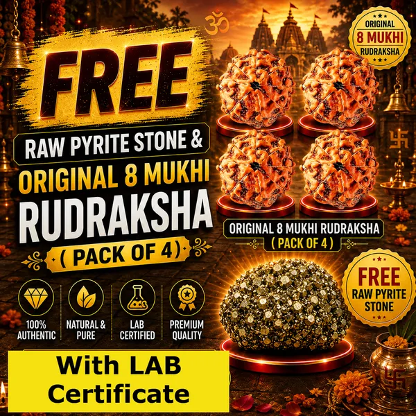 Original_with_LAB_Certificate_-_Rudraksha_Pack_of_4_+_FREE_Raw_Pyrite_Stone