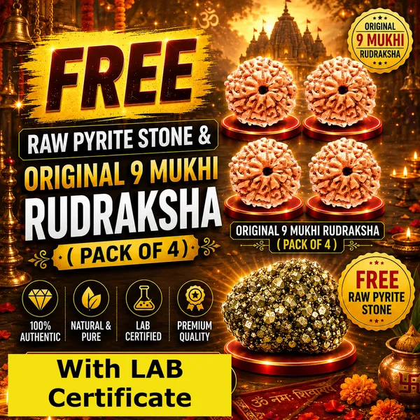 Original_with_LAB_Certificate_-_Rudraksha_Pack_of_4_+_FREE_Raw_Pyrite_Stone