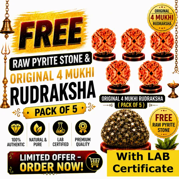 Original_with_LAB_Certificate_-_Rudraksha_Pack_of_5_+_FREE_Raw_Pyrite_Stone