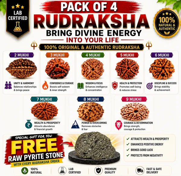 Original_with_LAB_Certificate_-_Rudraksha_Pack_of_4_+_FREE_Raw_Pyrite_Stone
