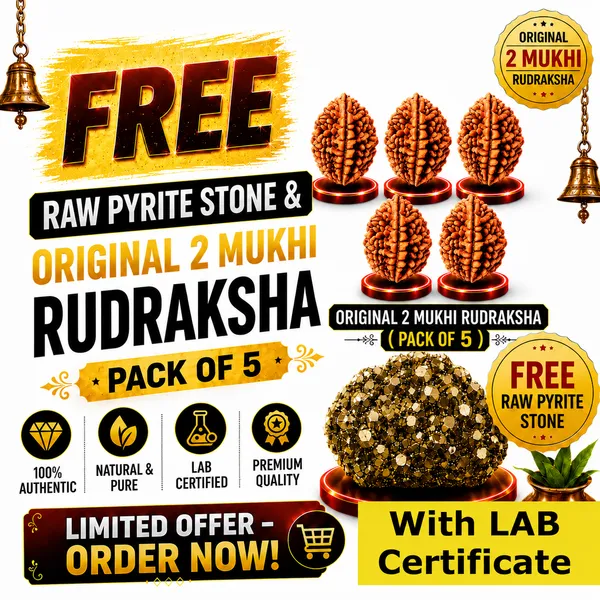 Original_with_LAB_Certificate_-_Rudraksha_Pack_of_5_+_FREE_Raw_Pyrite_Stone