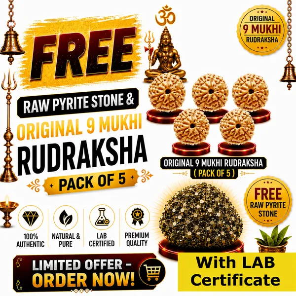 Original_with_LAB_Certificate_-_Rudraksha_Pack_of_5_+_FREE_Raw_Pyrite_Stone