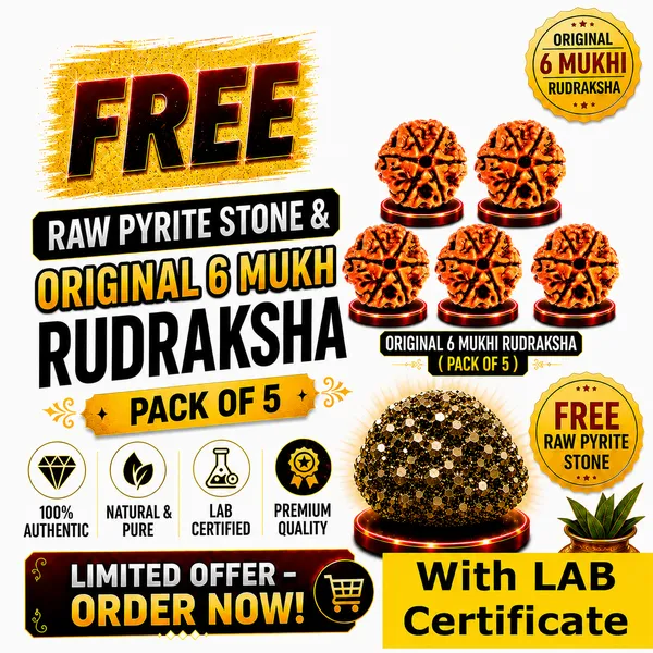 Original_with_LAB_Certificate_-_Rudraksha_Pack_of_5_+_FREE_Raw_Pyrite_Stone