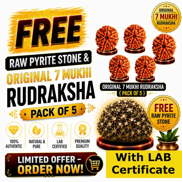 Original_with_LAB_Certificate_-_Rudraksha_Pack_of_5_+_FREE_Raw_Pyrite_Stone