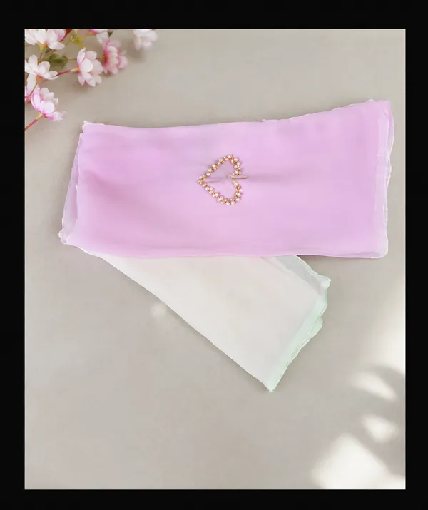 Chiffon_saree
